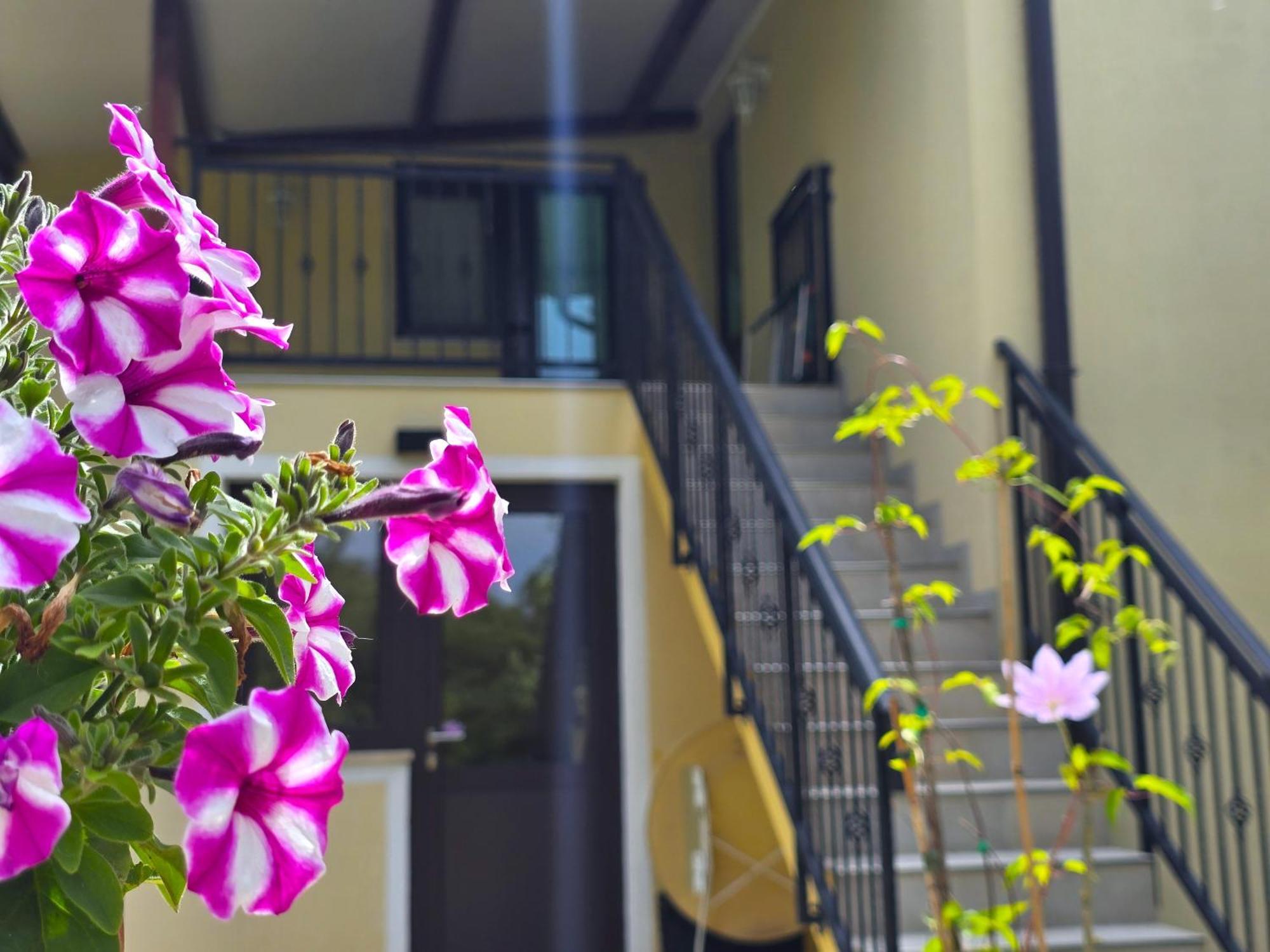 Keser Apartments Rovinj Buitenkant foto