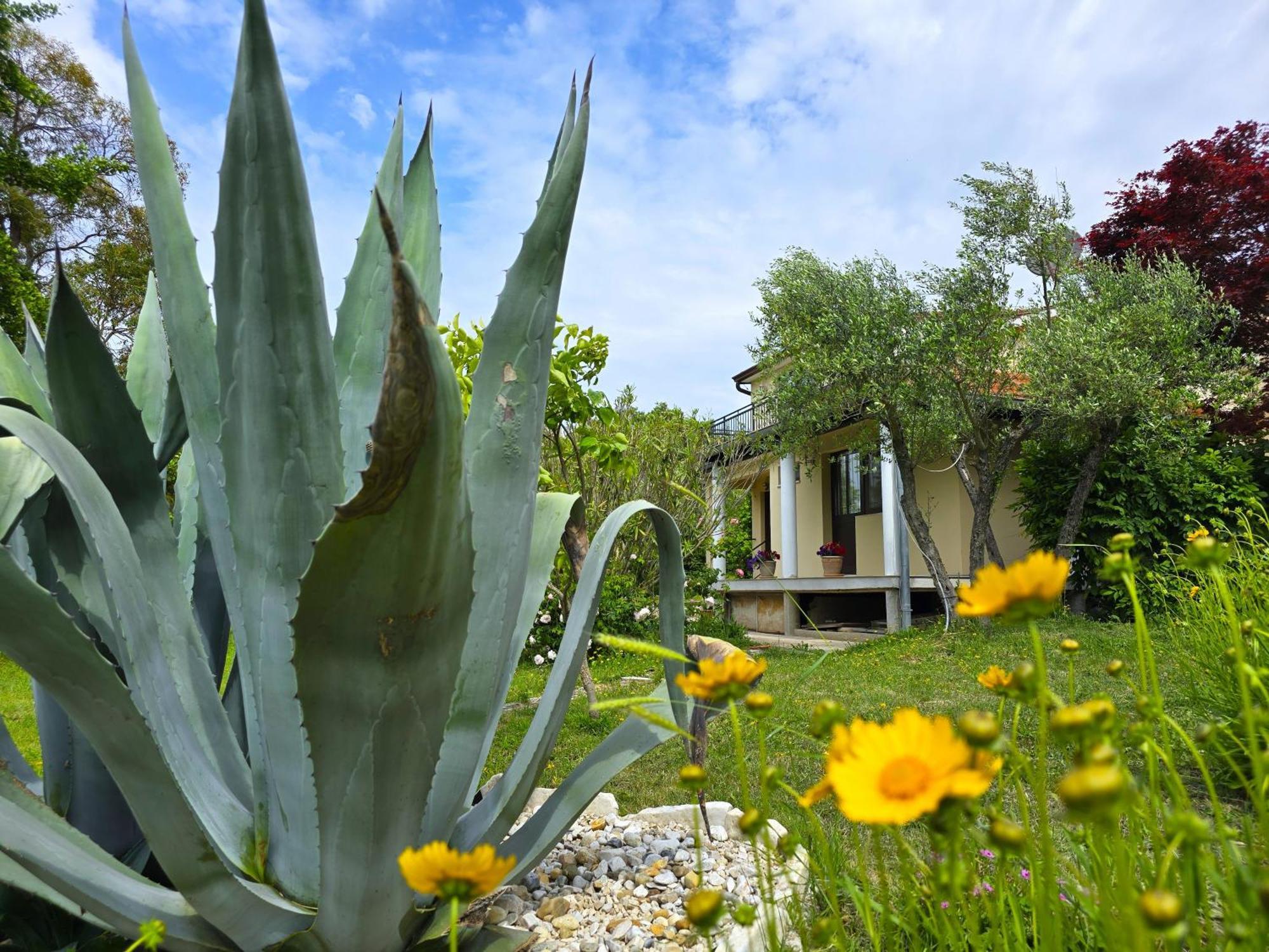 Keser Apartments Rovinj Buitenkant foto