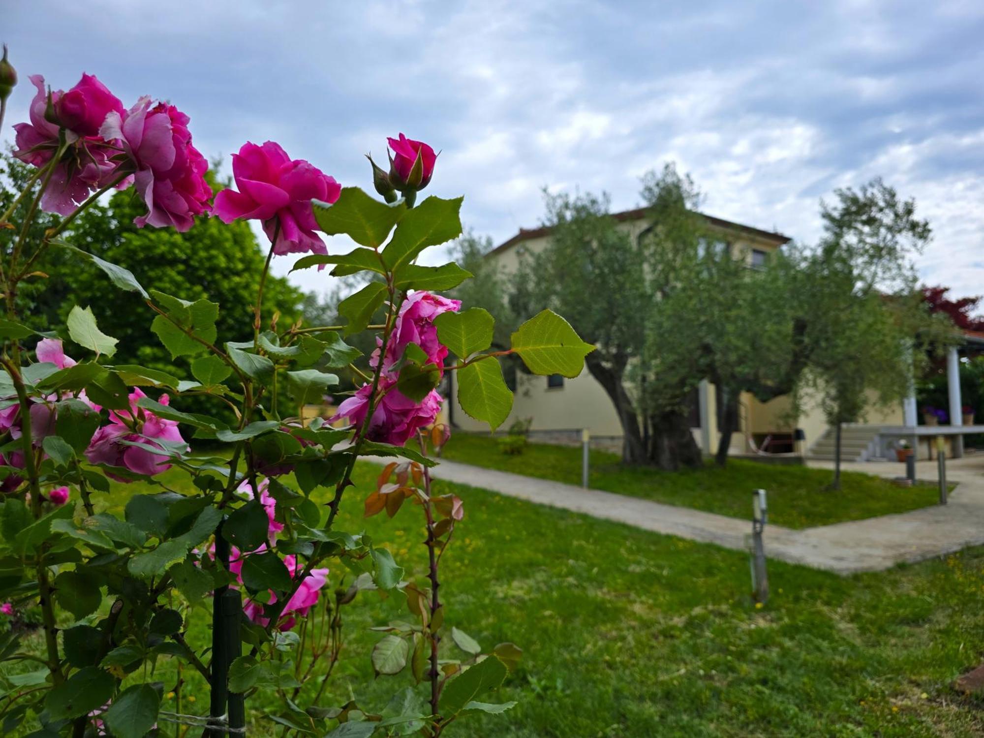 Keser Apartments Rovinj Buitenkant foto