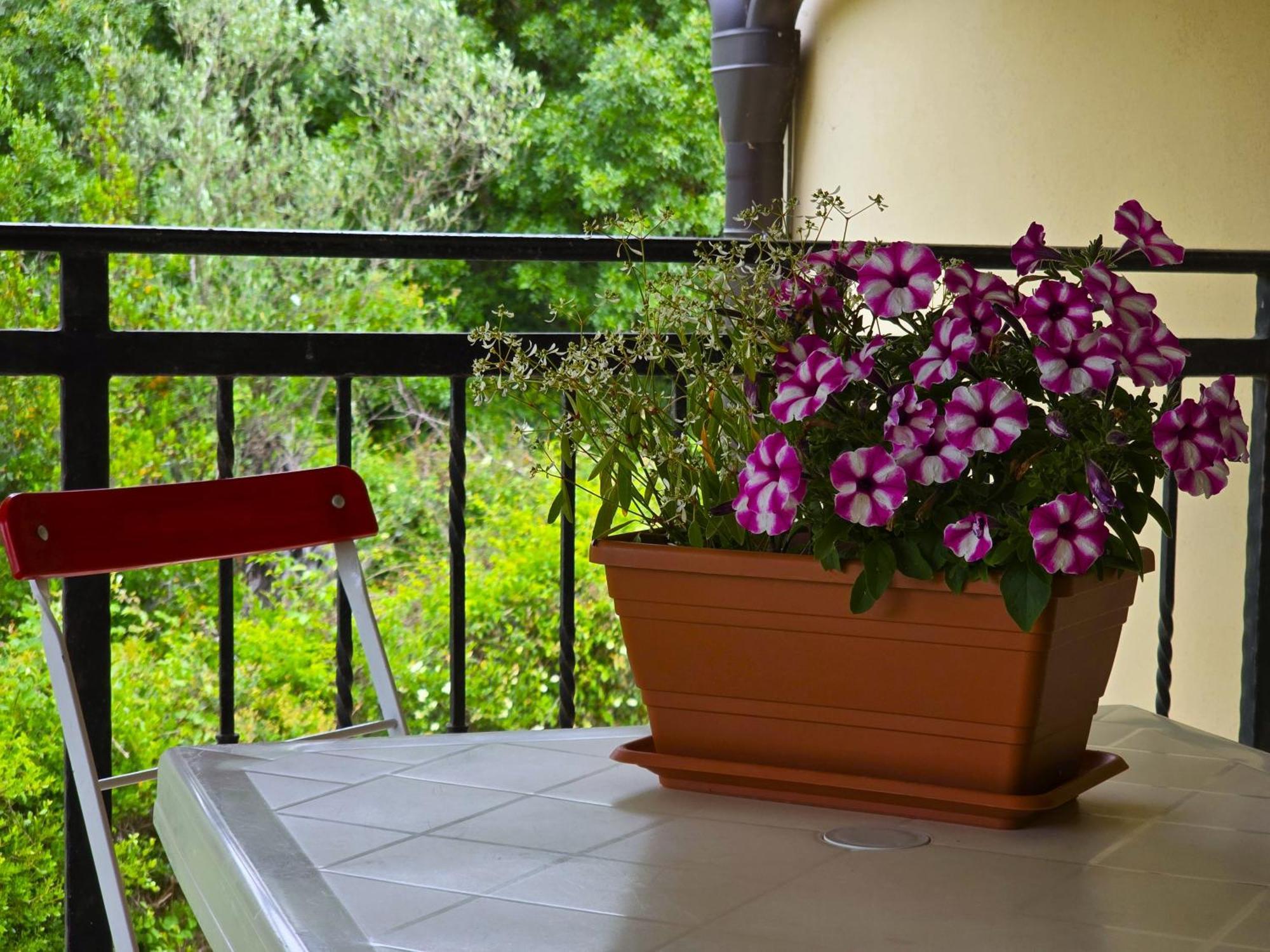 Keser Apartments Rovinj Buitenkant foto